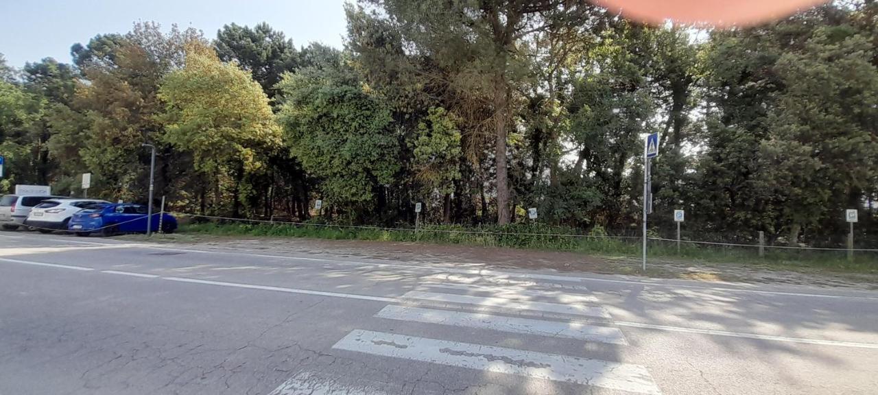 Hotel Maddalena Marina di Ravenna Dış mekan fotoğraf